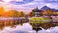 Xuất khẩu sang Nhật Bản 6 tháng đầu năm 2025 tăng trưởng