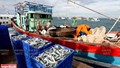 Xuất khẩu thủy sản sang thị trường Mỹ bật tăng