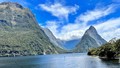 Kim ngạch xuất nhập khẩu Việt Nam - NewZealand năm 2024 giảm 2,9%