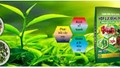 Nhập khẩu phân bón 4 tháng đầu năm 2025 tăng cả về lượng và kim ngạch