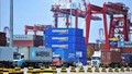 Giải mã dòng chảy hàng hóa với các đối tác trọng điểm sau 5 tháng