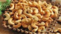 Xuất khẩu hạt điều bứt phá vào Trung Quốc