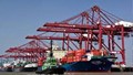 Thành tích xuất khẩu 219,8 tỷ USD và khuyến nghị tái cấu trúc