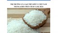THỊ TRƯỜNG LÚA GẠO THẾ GIỚI VÀ VIỆT NAM THÁNG 6/2025: PHÂN TÍCH VÀ DỰ BÁO