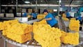 Cao su xuất khẩu gần 70% sang thị trường Trung Quốc