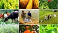 Doanh nghiệp xuất khẩu nông sản, thực phẩm sang Ba Lan cần lưu ý