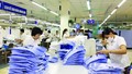 Xuất khẩu hàng dệt may sang các thị trường 7 tháng đầu năm 2025 