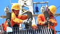 Dự thảo Nghị định về ứng dụng khoa học và phát triển công nghiệp chế tạo trong lĩnh vực điện lực