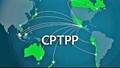 Đẩy mạnh tuyên truyền CPTPP, gia tăng hiệu quả thực thi và xuất khẩu