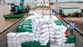 Thị trường xuất khẩu gạo 10 tháng năm 2025