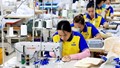 Xuất khẩu hàng dệt may sang EU 11 tháng năm 2025 tăng trưởng tốt nhờ Hiệp định EVFTA