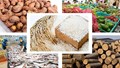 Xuất khẩu nông, lâm, thủy sản Việt Nam bứt phá nhờ nâng cao giá trị