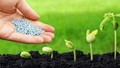 Xuất khẩu phân bón tháng 1/2026 tăng trưởng tốt
