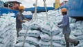 Loạt giải pháp mới thúc đẩy xuất khẩu gạo