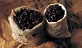 Thị trường cà phê tuần đến ngày 28/11: Dự báo nhu cầu tiêu thụ cà phê khó hồi phục trong năm tới
