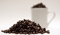 Thị trường cà phê hôm nay 25/11: Giá nội địa tăng nhưng dự báo xu hướng trong ngắn hạn vẫn giảm