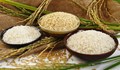 Giá lúa gạo hôm nay 24/1: Gạo nguyên liệu tăng