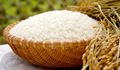 Giá lúa gạo hôm nay 10/8 ổn định