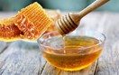 EU, Hoa Kỳ, Hàn Quốc đồng loạt cập nhật quy định SPS