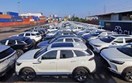 Việt Nam nhập khẩu ô tô nguyên chiếc tăng mạnh cả về lượng và trị giá