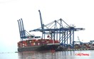 Tăng tỷ lệ tận dụng C/O CPTPP: Khuyến nghị từ chuyên gia