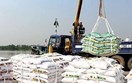 Phân bón Việt Nam xuất khẩu sang ASEAN tăng mạnh hơn 21% về lượng
