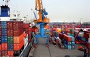 Nhập khẩu hàng hóa từ Đức vào Việt Nam, tăng trưởng mạnh mẽ thời điểm giữa năm