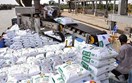 Xuất khẩu phân bón Việt Nam tiếp đà tăng trưởng mạnh mẽ tại thị trường châu Á