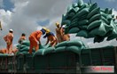 Bộ Công Thương tạo động lực mới thúc đẩy xuất khẩu gạo bền vững, hiệu quả