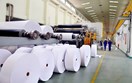 Thị trường nhập khẩu giấy Việt Nam: Trung Quốc và ASEAN chiếm ưu thế