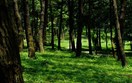 Đảm bảo chi tối thiểu 2% ngân sách nhà nước cho sự nghiệp bảo vệ môi trường hằng năm