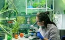 Phát triển công nghiệp sinh học, thay thế tối thiểu 50% sản phẩm nhập khẩu