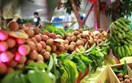 Kim ngạch xuất khẩu rau quả sẽ còn nhiều cơ hội tăng trưởng trong những tháng cuối năm