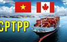 Xuất khẩu hàng hóa Việt Nam sang Canada 7 tháng đầu năm 2026: Động lực tăng trưởng và Triển vọng