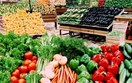 Trung Quốc tiếp tục là thị trường tiêu thụ rau quả lớn nhất của Việt Nam