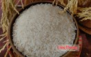 Giá gạo thế giới ‘ấm’ lên, vì sao gạo Việt Nam chưa hưởng lợi?