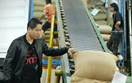 Xuất xứ CPTPP: Thoát bẫy gia công, nâng tầm chuỗi giá trị hàng Việt