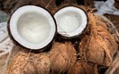 Bờ Biển Ngà đặt mục tiêu khôi phục ngành dừa, hướng tới sản lượng hơn 2 triệu tấn/năm
