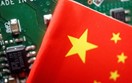 Trung Quốc nối lại xuất khẩu đất hiếm nhưng vẫn kiểm soát chặt chẽ