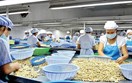 Đồng Nai tăng tốc xúc tiến thương mại qua Lễ hội Quả điều vàng 2026