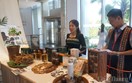 Đà Nẵng: Xúc tiến thương mại sâm Ngọc Linh gắn với du lịch