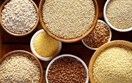 Báo cáo tháng 11/2022 của USDA về thị trường ngũ cốc thế giới