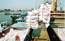 Muốn xuất khẩu gạo vào thị trường Bắc Âu, doanh nghiệp tuân thủ các quy định bắt buộc của thị trường