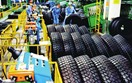 Ai Cập tiếp nhận Hồ sơ đề nghị điều tra chống bán phá giá đối với mặt hàng lốp xe ô-tô tải và xe buý