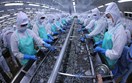 Xuất khẩu thuỷ sản của Việt Nam tăng trưởng tích cực trong 4 tháng đầu năm 2026