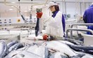 Hoàn tất đàm phán FTA Việt Nam - EFTA, hải sản Na Uy hưởng lợi từ ưu đãi thuế