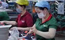 Bắc Âu siết chặt kiểm soát PFAS, dệt may và da giày Việt Nam cấp bách chuyển đổi để thích ứng