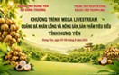 Thương mại điện tử tiếp sức tiêu thụ nhãn lồng Hưng Yên
