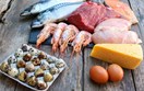 Quy định mới về các biện pháp an toàn thực phẩm và kiểm dịch động thực vật (SPS) của các thị trường xuất khẩu