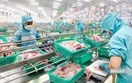 Xuất khẩu cá tra sang Anh tăng 23%, nhu cầu thực phẩm tiện lợi mở thêm dư địa